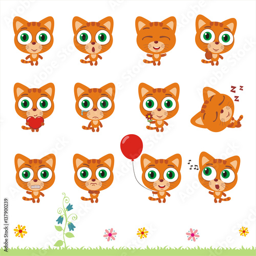 Big set cute little kitten cat. Collection isolated cartoon kitten cat in different poses.