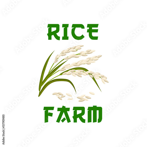 Rice plant vector poster or emblem