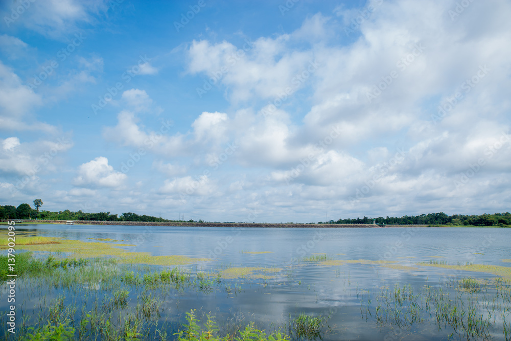 Lake View Landscape Lake View Landscape