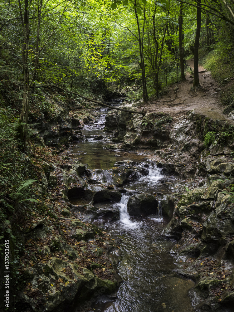 Arroyo, Zugarramurdi, Navarra, España Arroyo, Zugarramurdi, Navarra, España