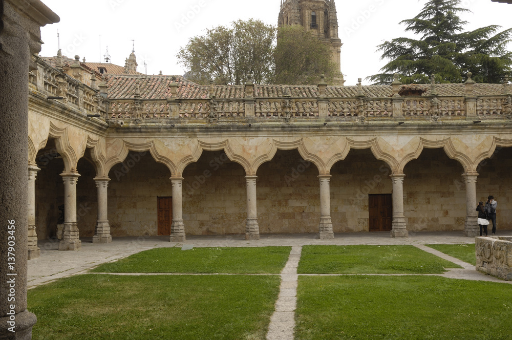 Patio de las Escuelas Menores, Salamanca, Castilla y Leon, Spain