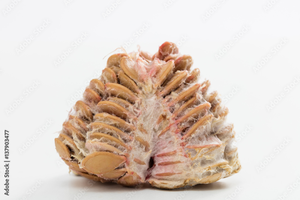 Seeds of a moldy pumpkin