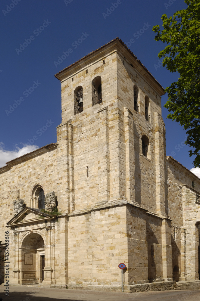 San Pedro church and  Fray Diego de Deza square, Zamora, Spain