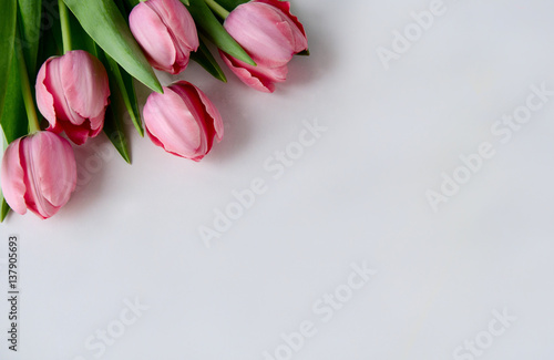 Fototapeta Naklejka Na Ścianę i Meble -  Fresh pink tulip bouquet in the upper left corner on white background with copy space isolated