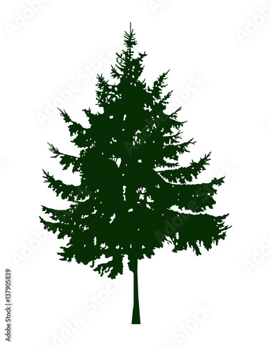 Silhouette of coniferous tree. Can be used as poster, badge, emblem, banner, icon, sign, decor.