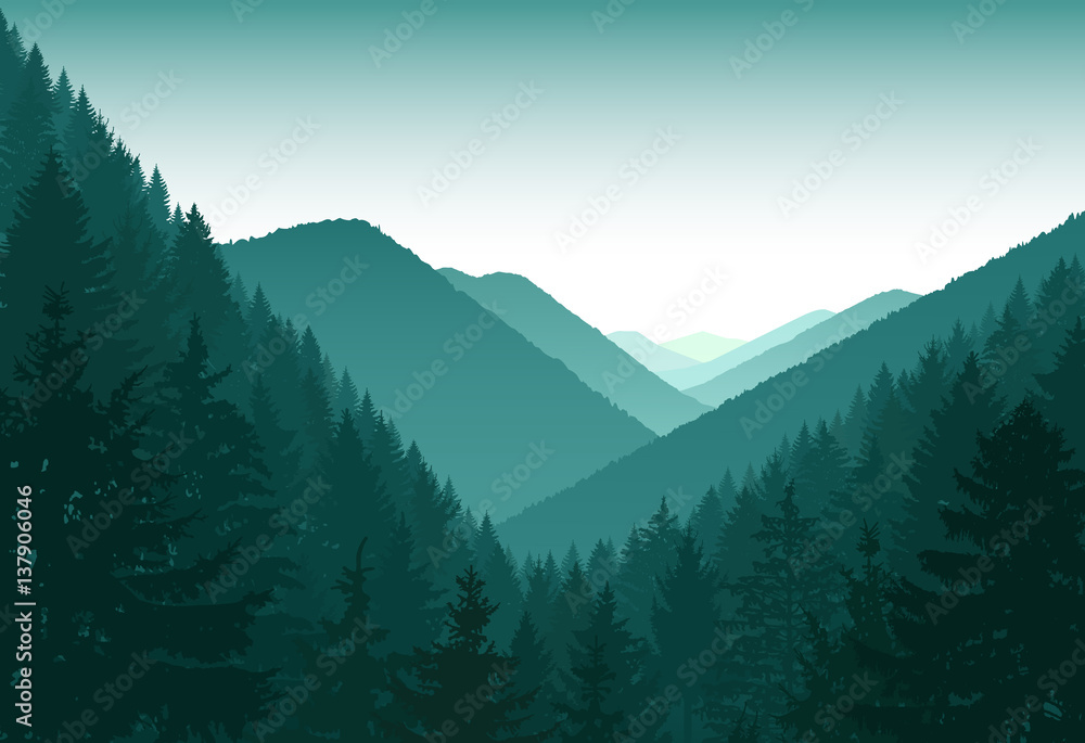 Fototapeta premium Image landscape. Panorama of mountains. Evergreen trees. Green tones.
