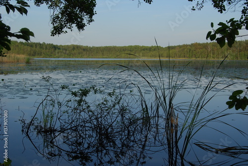 Sobiborski Park Krajobrazowy. photo