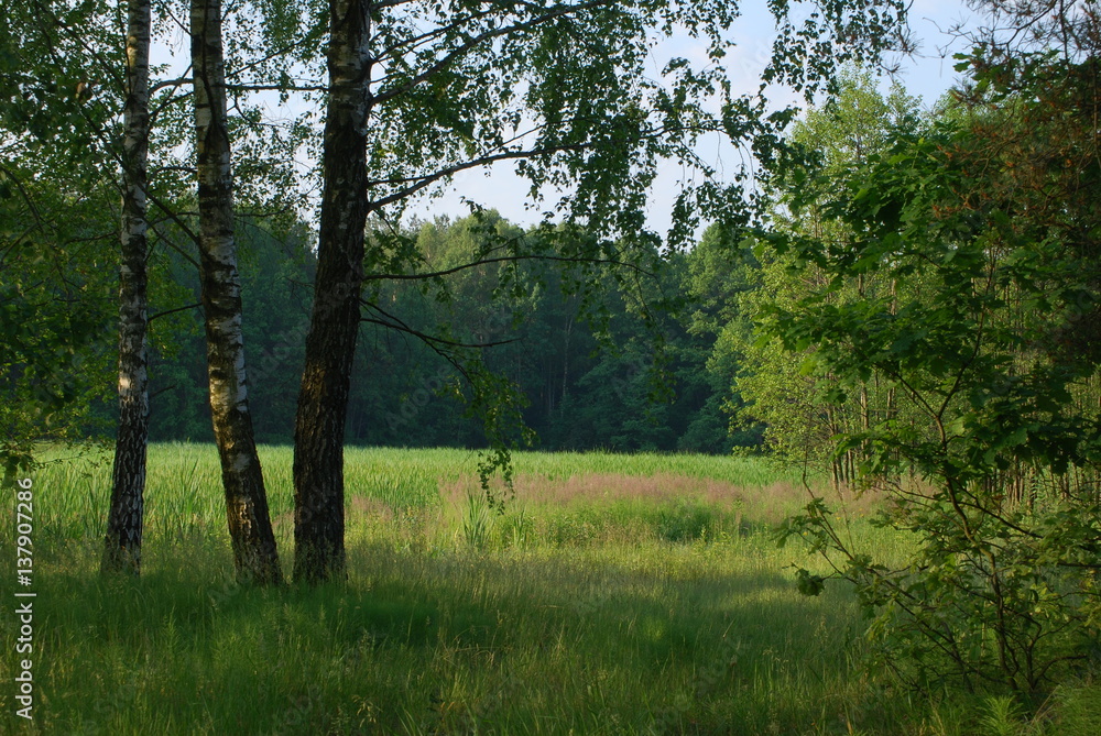 Sobiborski Park Krajobrazowy. Sobiborski Park Krajobrazowy.