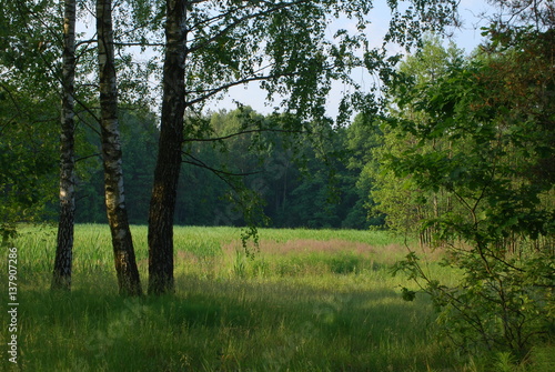 Sobiborski Park Krajobrazowy.