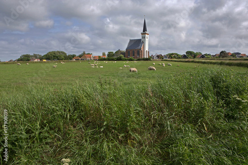 Church of Hoorn. Meadow with sheep. Texel dutch island Netherlands. Waddenzee. Wadden island.