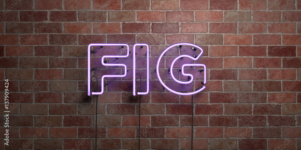Obraz premium FIG - fluorescent Neon tube Sign on brickwork - Front view - 3D rendered royalty free stock picture. Can be used for online banner ads and direct mailers..