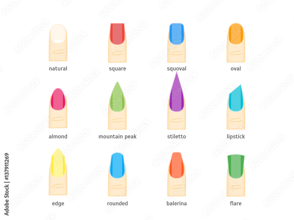 Female Nails Fashion Shape or Forms Manicure. Vector Female Nails Fashion Shape or Forms Manicure. Vector