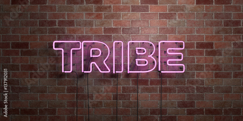 TRIBE - fluorescent Neon tube Sign on brickwork - Front view - 3D rendered royalty free stock picture. Can be used for online banner ads and direct mailers.. photo
