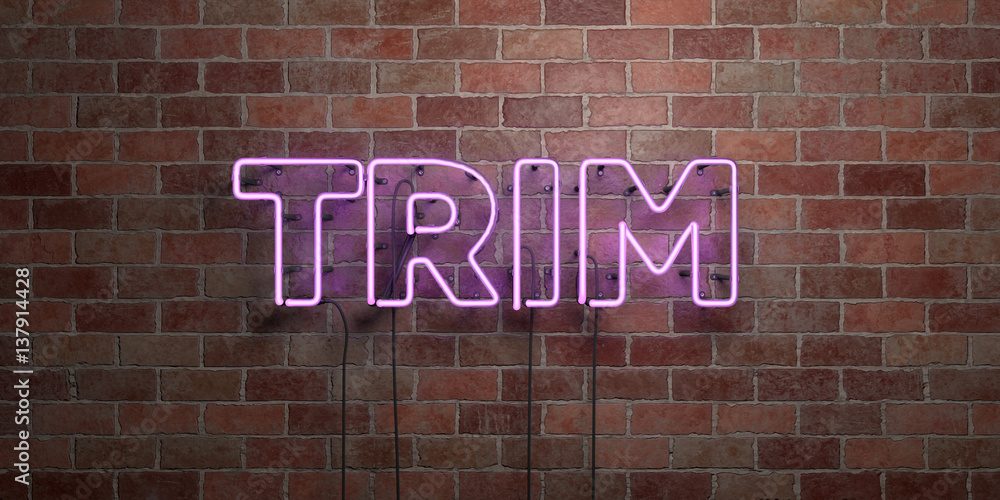 Fototapeta premium TRIM - fluorescent Neon tube Sign on brickwork - Front view - 3D rendered royalty free stock picture. Can be used for online banner ads and direct mailers..