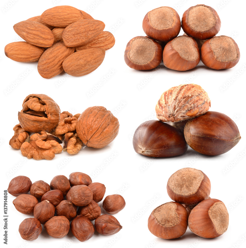 Collection of nuts on a white background Collection of nuts on a white background