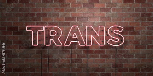 TRANS - fluorescent Neon tube Sign on brickwork - Front view - 3D rendered royalty free stock picture. Can be used for online banner ads and direct mailers..