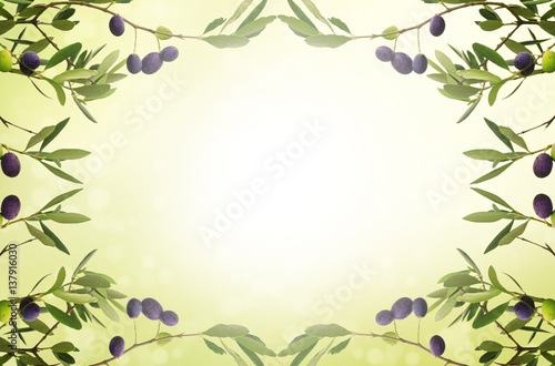Floral natural sunny organic food background with frame from olive tree branches  green leaves anf fruits  can be used for cards  posters and web