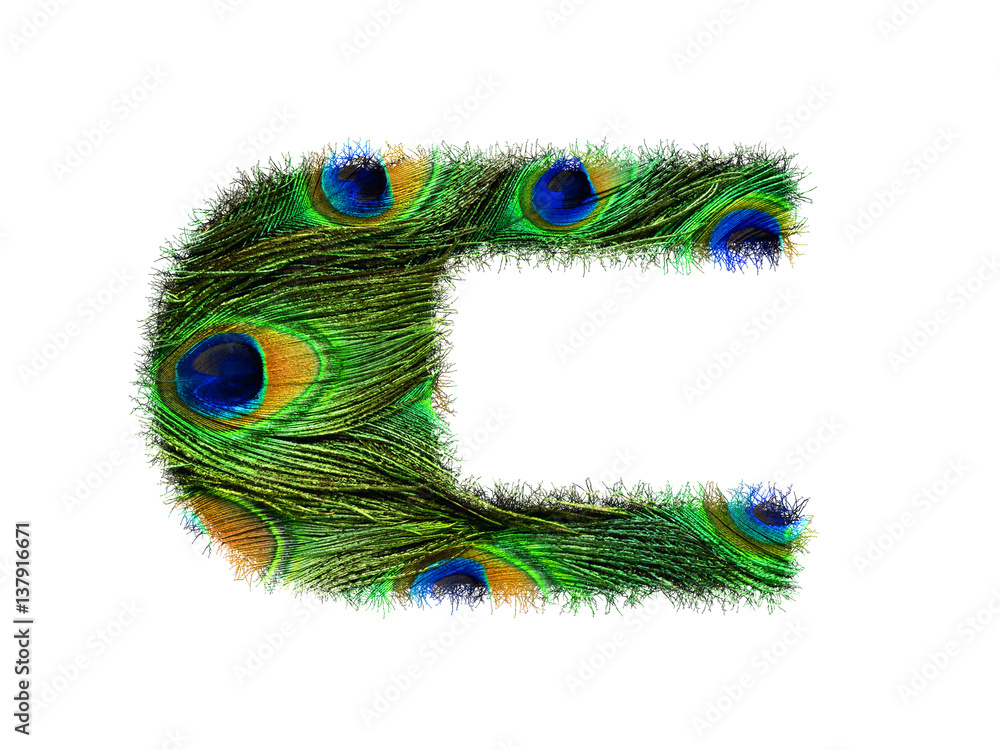 Obraz premium High resolution upper case letter C made of peacock feathers alphabet isolated on white background