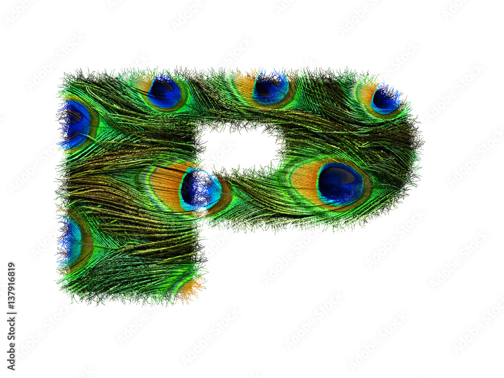 Obraz premium High resolution upper case letter P made of peacock feathers alphabet isolated on white background