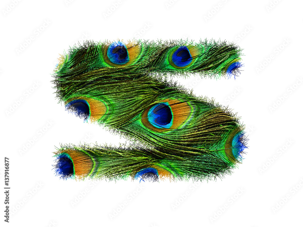 Obraz premium High resolution upper case letter S made of peacock feathers alphabet isolated on white background