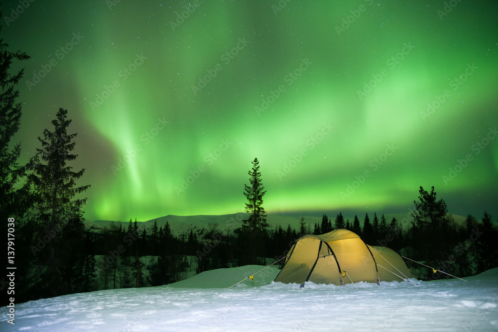 illuminated tent in front of strong aurora display