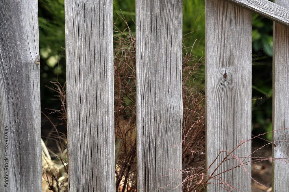 Background / Old wooden fence / The cut wood with knots Background / Old wooden fence / The cut wood with knots