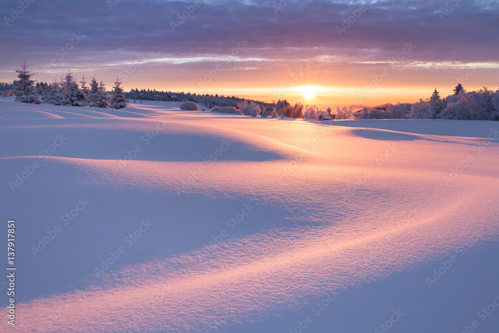 Fototapeta premium Winterlandschaft im goldenen Sonnenlicht mit einer kleinen Holzhütte im Hintergrund