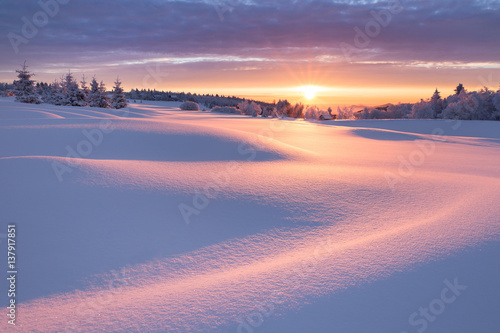 Winterlandschaft im goldenen Sonnenlicht mit einer kleinen Holzhütte im Hintergrund © Alexander Erdbeer
