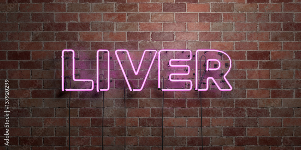 Obraz premium LIVER - fluorescent Neon tube Sign on brickwork - Front view - 3D rendered royalty free stock picture. Can be used for online banner ads and direct mailers..