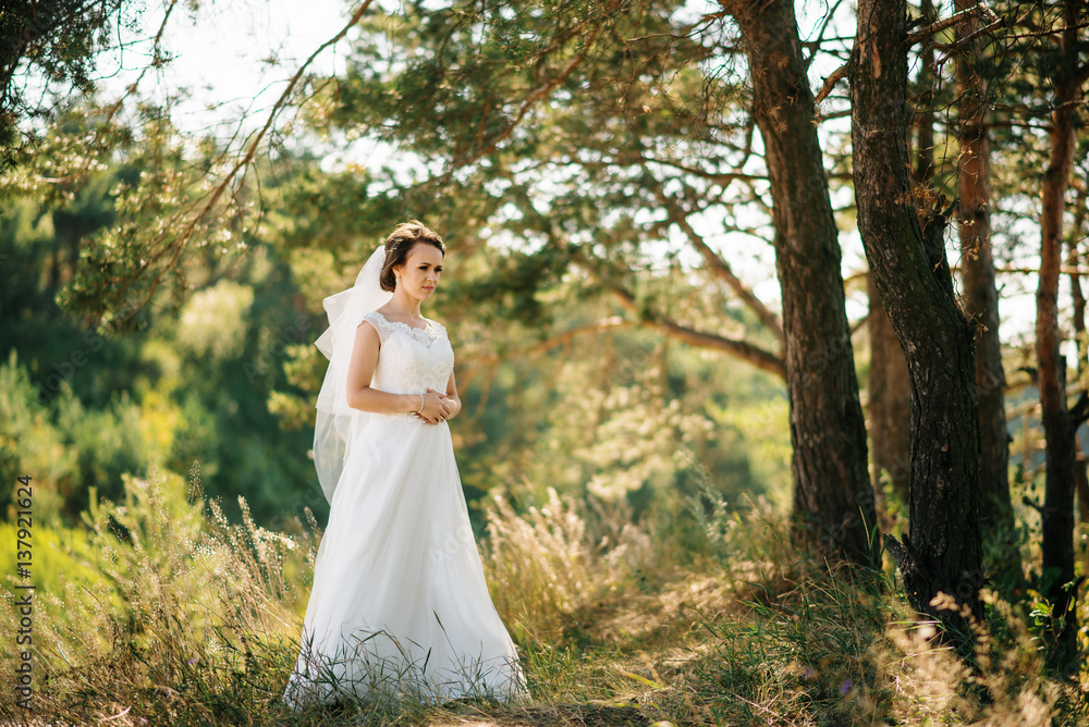 Amazing brunette bride posed on sunny forest.