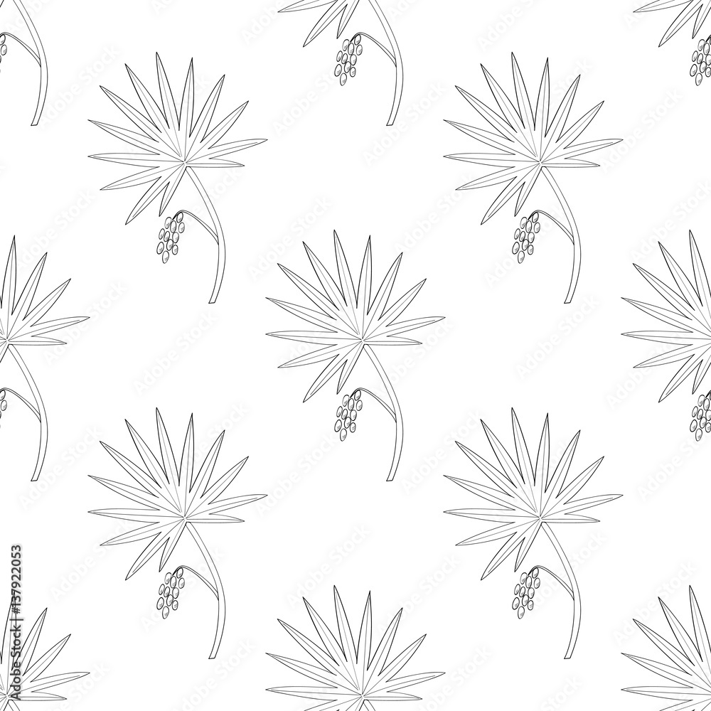 Saw Palmetto (Serenoa repens). Hand drawn botanical illustration. Medicinal tree. Seamless pattern.