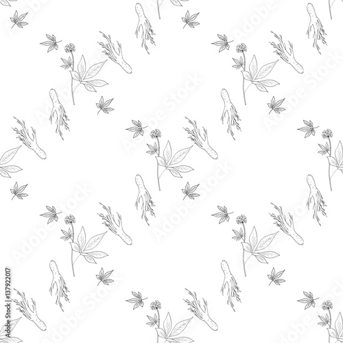 Root and leaves panax ginseng, sketch style. Hand draw vintage illustration of medicinal plants. For traditional medicine, gardening. Biological additives are. Seamless pattern.