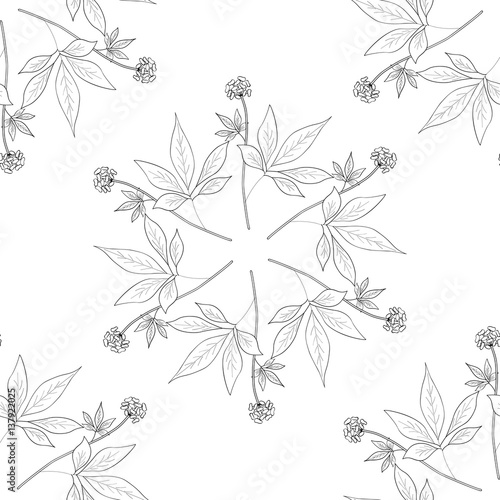 Root and leaves panax ginseng, sketch style. Hand draw vintage illustration of medicinal plants. For traditional medicine, gardening. Biological additives are. Seamless pattern.