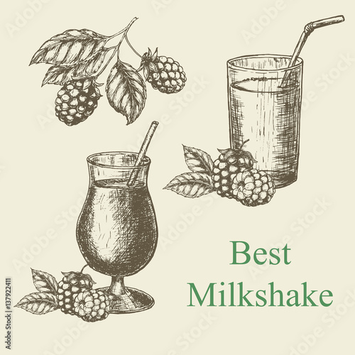Hand drawn milkshake and blackberry raspberry. Vector illustration