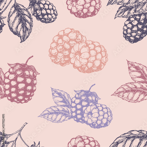 Raspberry blackberry seamless pettern. Vector illustration