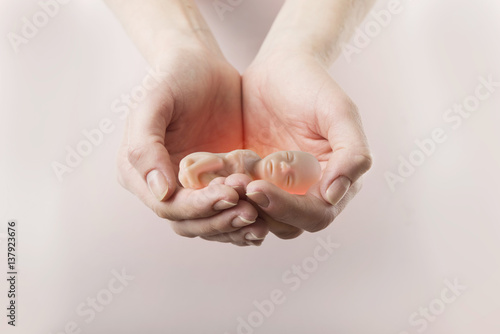 The embryo in a woman's hands. Concept embryo and abortion
