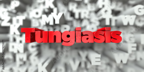 Tungiasis -  Red text on typography background - 3D rendered royalty free stock image. This image can be used for an online website banner ad or a print postcard. photo