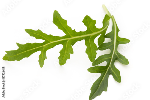 Close up studio shot of green fresh rucola isolated on white background.