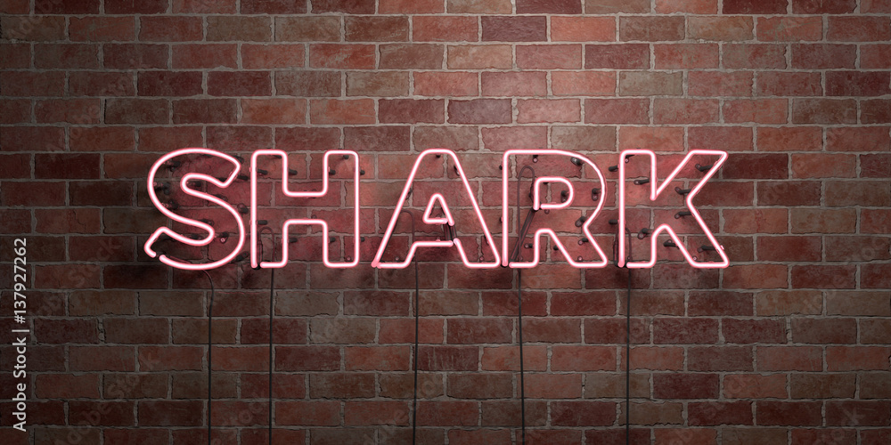 Obraz premium SHARK - fluorescent Neon tube Sign on brickwork - Front view - 3D rendered royalty free stock picture. Can be used for online banner ads and direct mailers..
