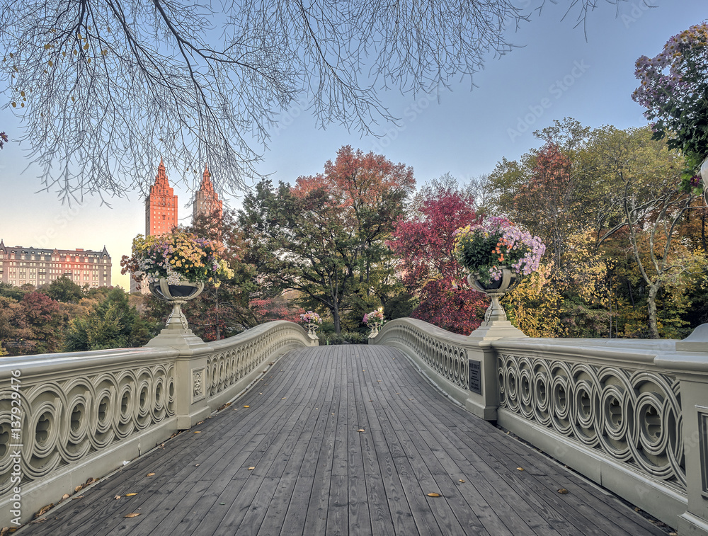 Bow bridge Central Park in autumn