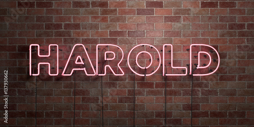 HAROLD - fluorescent Neon tube Sign on brickwork - Front view - 3D rendered royalty free stock picture. Can be used for online banner ads and direct mailers..