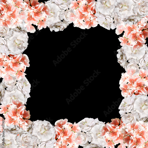 Fototapeta Naklejka Na Ścianę i Meble -  Beautiful floral background of orange and white pelargonium 