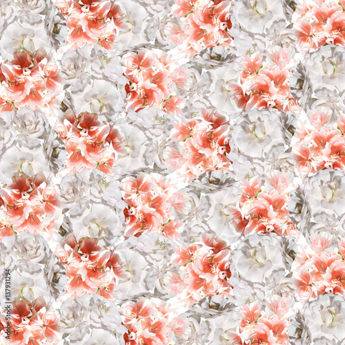 Fototapeta Naklejka Na Ścianę i Meble -  Beautiful floral background of orange and white pelargonium 