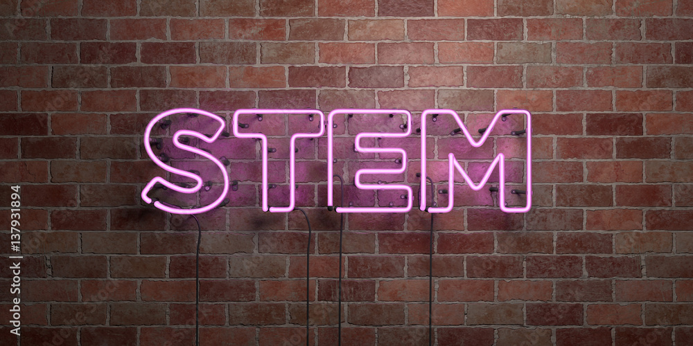 STEM - fluorescent Neon tube Sign on brickwork - Front view - 3D rendered royalty free stock picture. Can be used for online banner ads and direct mailers..