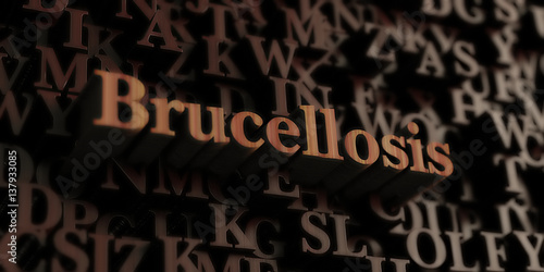 Brucellosis - Wooden 3D rendered letters/message. Can be used for an online banner ad or a print postcard.