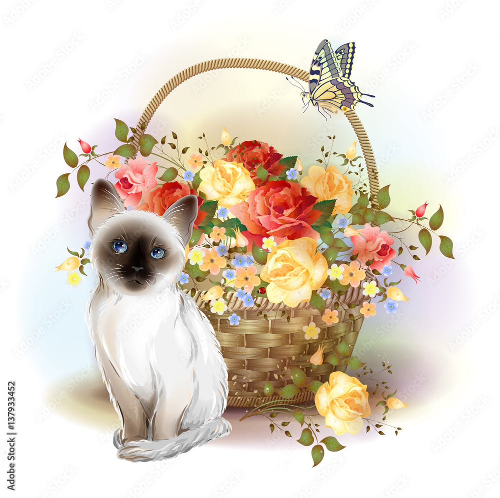 Plakat Szczęśliwa karta birday. Syjamski kotek, motyl i kosz z różami.