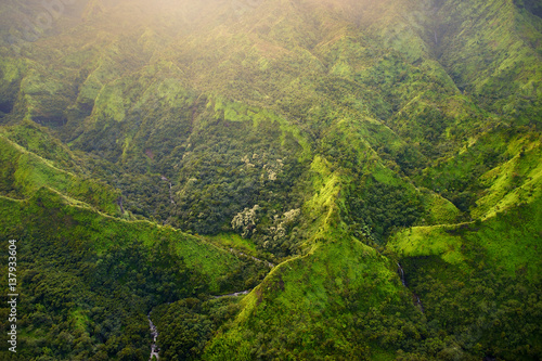 Stunning aerial view of spectacular jungles, Kauai