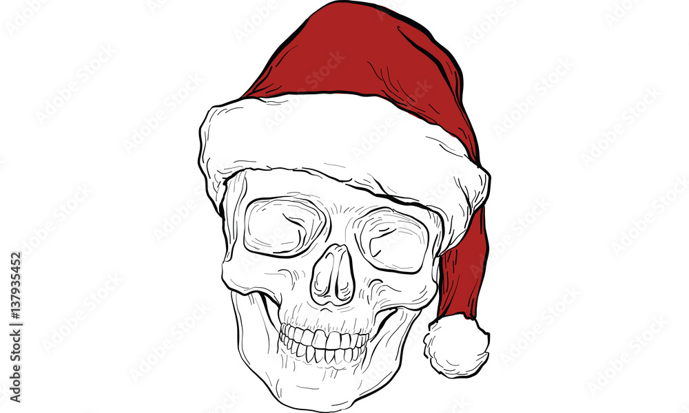 skeleton, skull