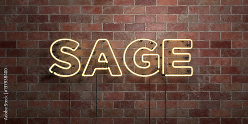 SAGE - fluorescent Neon tube Sign on brickwork - Front view - 3D rendered royalty free stock picture. Can be used for online banner ads and direct mailers..