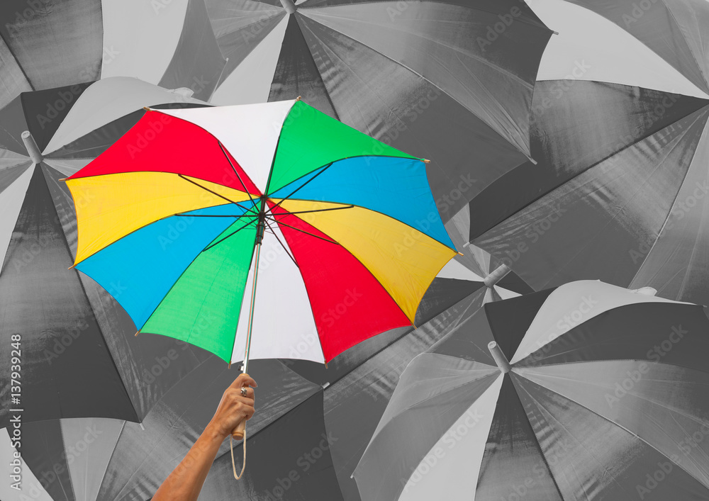 parapluie couleur sur fond de parapluies noirs Stock Photo | Adobe Stock